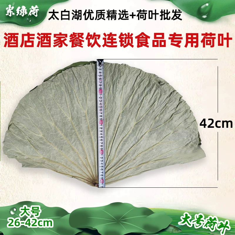 Большой сушеный лист лотоса Озеро Тайбай Натуральный цельный сушеный лист лотоса для листа лотоса Курица Целый сушеный лист лотоса для клейкого риса Курица