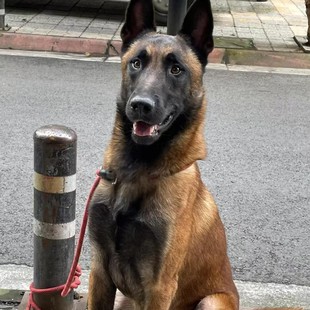 ���l�����r�RȮ��Ȯ���w����С�����N�RȮ����Ȯ����Ȯ���t�RȮ��