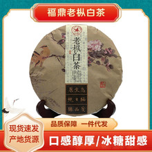 �S�Ҳ��~2012��ꗗ��ؕü�ϰײ�� �����Ϙ��ײ��ü�ϰײ����l