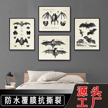 Rd؏͹LҒ쮋ˮĤYļԡb