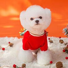 �}�Q����¹ë��С��ϲ�c�����·��ܲ����}�Q����؈��ѩ�{���ﶬ