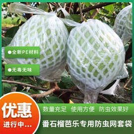网套袋包番石榴芭乐防虫防鸟袋一体袋水果网套泡沫网保护袋