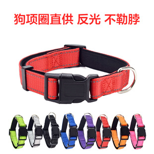 Pet Luminous Collar Small and Medium Pet Collar Adjustable Dog Collar Pet Supplies Spot Wholesale Bite Resistant