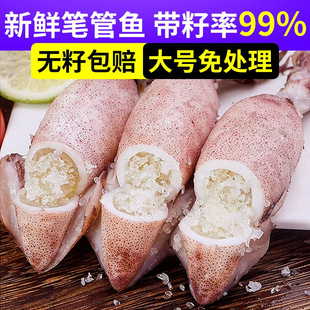 �����ӝM�����r��P���~���Ѻ��ú��r�r��ȫ���ў�����С���~���l