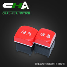 ���A�����_�P C303�l����o���I 15x15�tɫñ�wLED���o�_�P