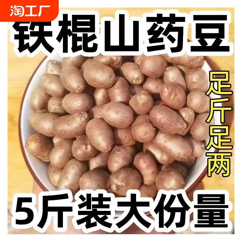 Artificially Screened, Freshly Picked, New Small White Mouth Yam Beans, Iron Stick Yam, Medium Yam Beans, Direct Delivery from the Place of Origin, Free Shipping