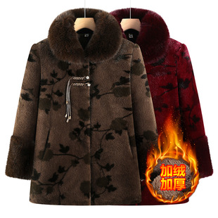 ���̶��b�ӽq�Ӻ�ů����2025�¿�����q�������L���a�����·�