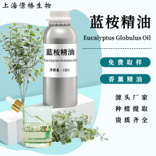 SC厂家食品级有机USDAl尤加利精油EucalyptusOi桉叶素80%蓝桉精油