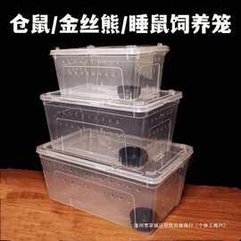 小睡跨境爬虫饲养盒养殖仓鼠笼子外带透明批发花枝睡用品饲养盒盒