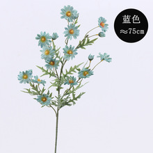 ���滨�ٻ�����ՔzӰ���߈��ؕ��������b����l���㻨��֦�ջ�