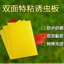 SpճxERNS{wxСw@մωTճ