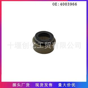 �m��춿���˹QSM11 ISM11�l�әC������T�ͷ� 4003966 3606766