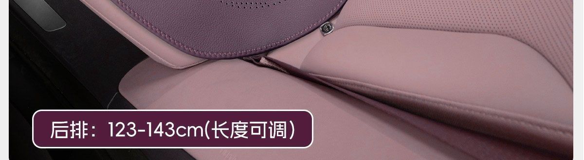 High-grade Nappa leather new single-piece women's seat cushion, purple seat pad, rear car seat cushion, suitable for all seasons