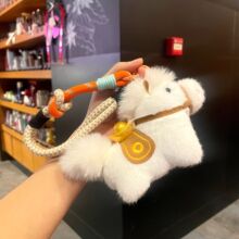 ����ɐ�ë�qԪ��С�R����R�����Xë�qС�R����С�YƷ�R�꼪����