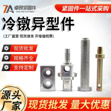 定制异型件冷镦异形件热打异型件异型螺母异型螺栓数控车床非标件