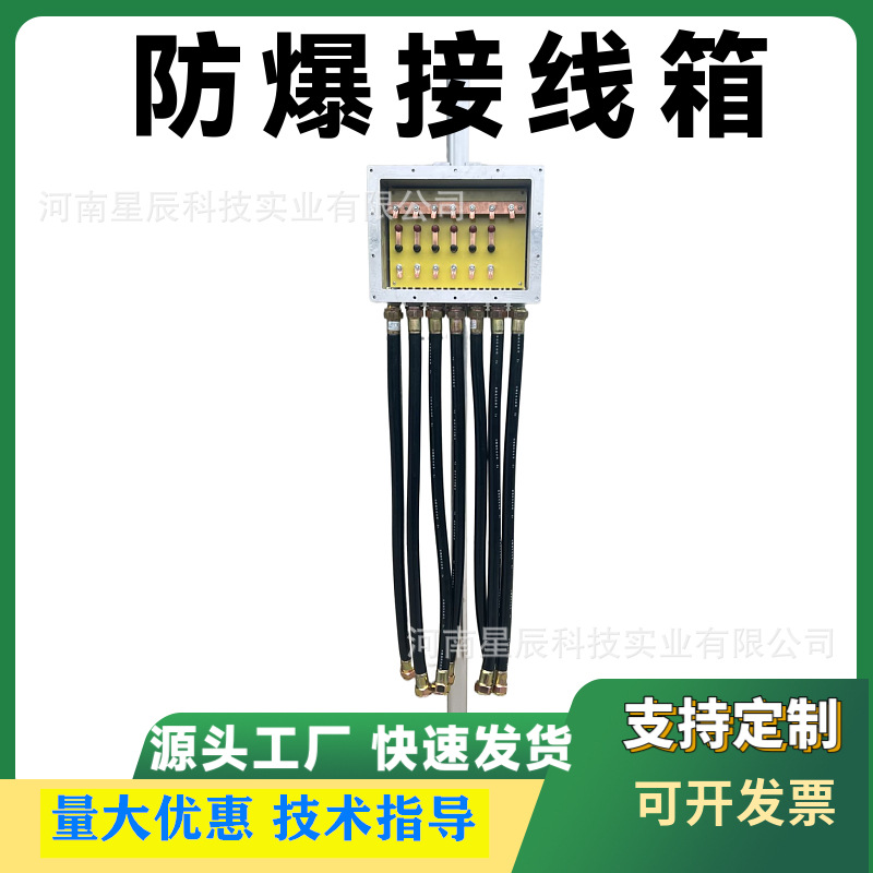 星辰阳极地床防爆接线箱EXdⅡ汇流点防爆接线箱200*300mm