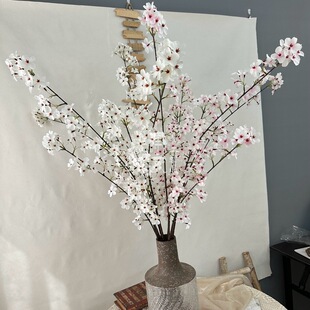 ���滨�L֦���滨�ѻ��ٻ���ˇ�����b��Ҿ��b����廨����