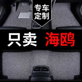 比亚迪海鸥汽车脚垫2025款25海欧座车丝圈上层垫耐脏地垫车垫