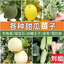 �����ȫ�ļ�������������̱��������Ϲ��ܹ������ƹϴ�ȫ