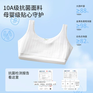 定制款女童发育期内衣纯棉背心文胸7-12岁抗菌防凸点固定棉垫背心
