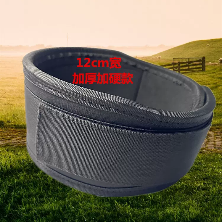 中考实心球护腰带加硬学生体育铅球护腰深蹲举腰带男女加强款