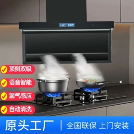 电子灭蚊器;燃气灶具;蓝牙音箱