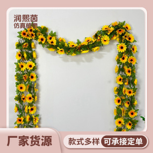 �������տ��ڒ�ٻ����@�ٗl̫ꖻ��҃ȿ��{�ܵ��b���̫ꖻ���