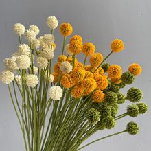 ����5�^�S���� �ѹ�Ӣ С����������������ٻ��廨���յ������