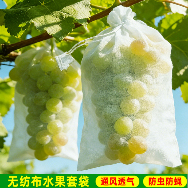 无纺布葡萄套袋阳光玫瑰专用防鸟防虫育苗保护包装袋水果果蔬套袋