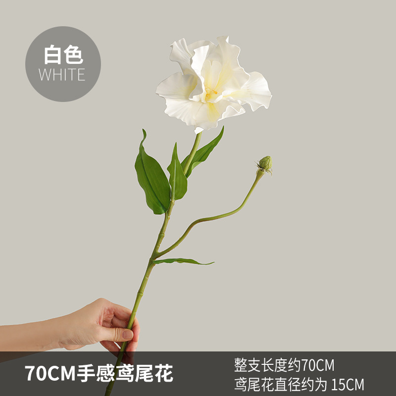 70CM 싱글 헤드 필 아이리스-화이트
