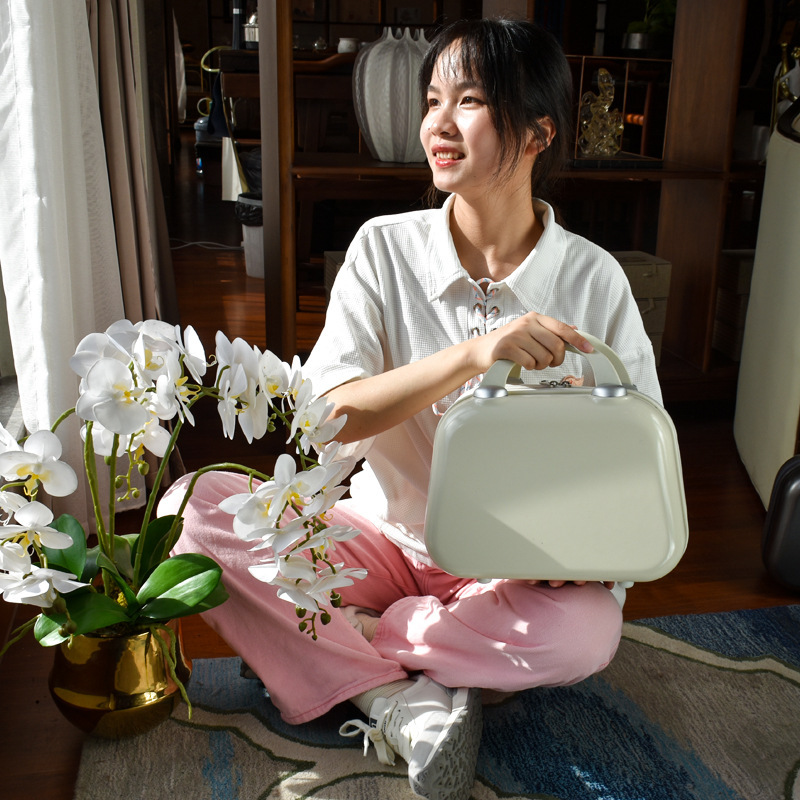 Estuche cosmético japonés con regalo portátil mini maleta de 14 pulgadas para mujer que puede colgar equipaje