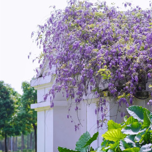 ���ٻ��N�����ٻ�������ֲ��ͥԺ�L�����ͺ����B����������Ԯ��