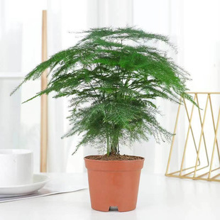 ��������ֲ���҃Ȼ����辰�͏d�k��������С�Gֲ���B����ļ�����