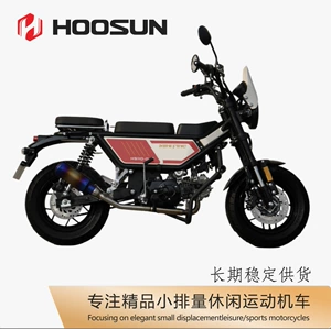 Haochen Zhixuan Hs110-D Fərdi İstirahət Motosikleti