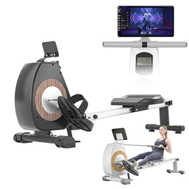 踏步机;臂力器;其他健身器材