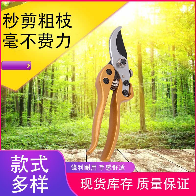 供应不锈钢果枝剪刀园林剪花修枝果树手动省力园艺剪子盆景