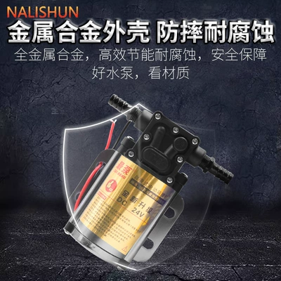 Repair kit 12V24V Gasoline Diesel Pump