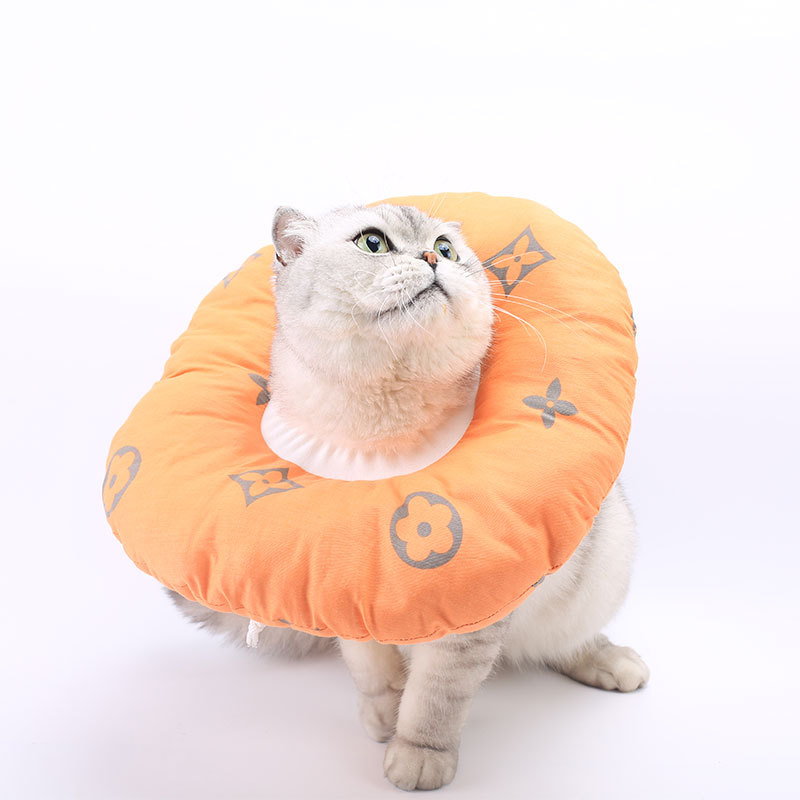 활기찬 오렌지