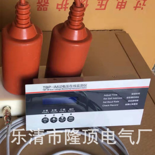 Longding Electric Combined Lightning Arrester Monitor 10KV 35KV Overvoltage Protector Monitor TBP-IM