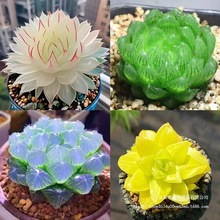 ������Ʒ��������¶ˮ�����ֲ���������ֺ��B�����k�����̨����