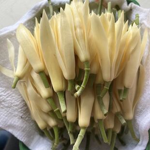 �������x���m�����r���m���r���仨���S���m�����S���m�a��ֱ�N