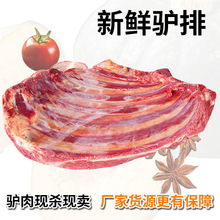 ɽ�|�R���H�ŹǏS�ҬF���F�u���|���r200����ӹ��H���^����x