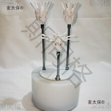 �_�����Ԅ��_�ϻ��q��������̫��