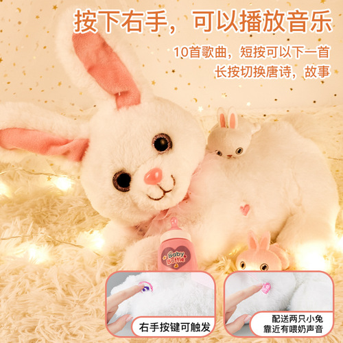 Surprise baby cat plush toy cat simulation will call the baby kitten doll doll birthday gift