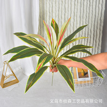 �羳�����������ľ��Ѫ��Gֲ�҃��쾰ֲ��廨��ķ����~���l