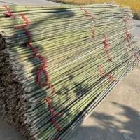 Маленькие бамбуковые шесты, тонкие бамбуковые палочки, 1.2m бамбуковых шестов для садовой решетки, решетки для бобов и огурцов, бамбуковые шесты для выращивания овощей, бамбуковые шесты для рассады.