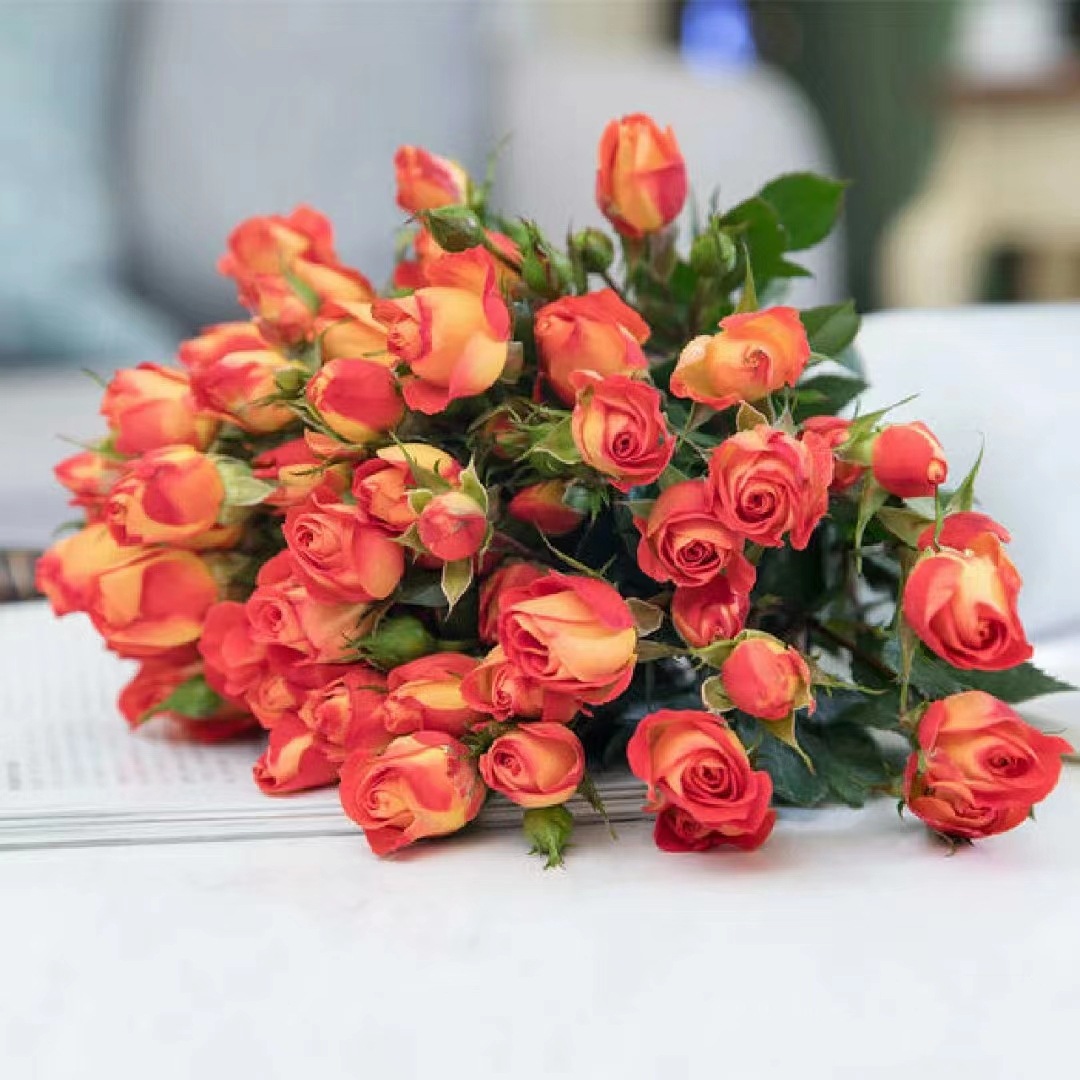 微信图片_20230323014259_副本