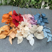 仿真盆栽植物9片大柚子叶装饰摆件花园盆景仿真墙面装饰拍摄道具