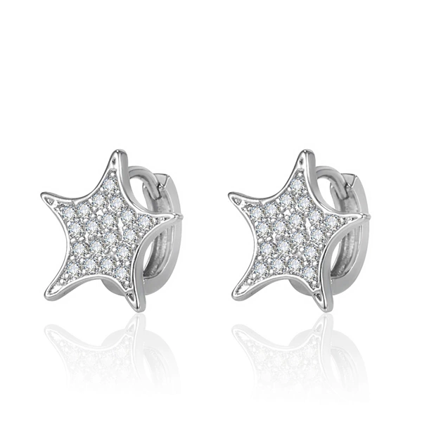 Platinum earrings