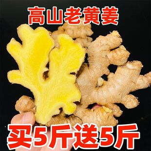 生姜批发老姜老黄姜小黄姜新鲜蔬菜月子姜非大黄姜源工厂一件批发-阿里巴巴